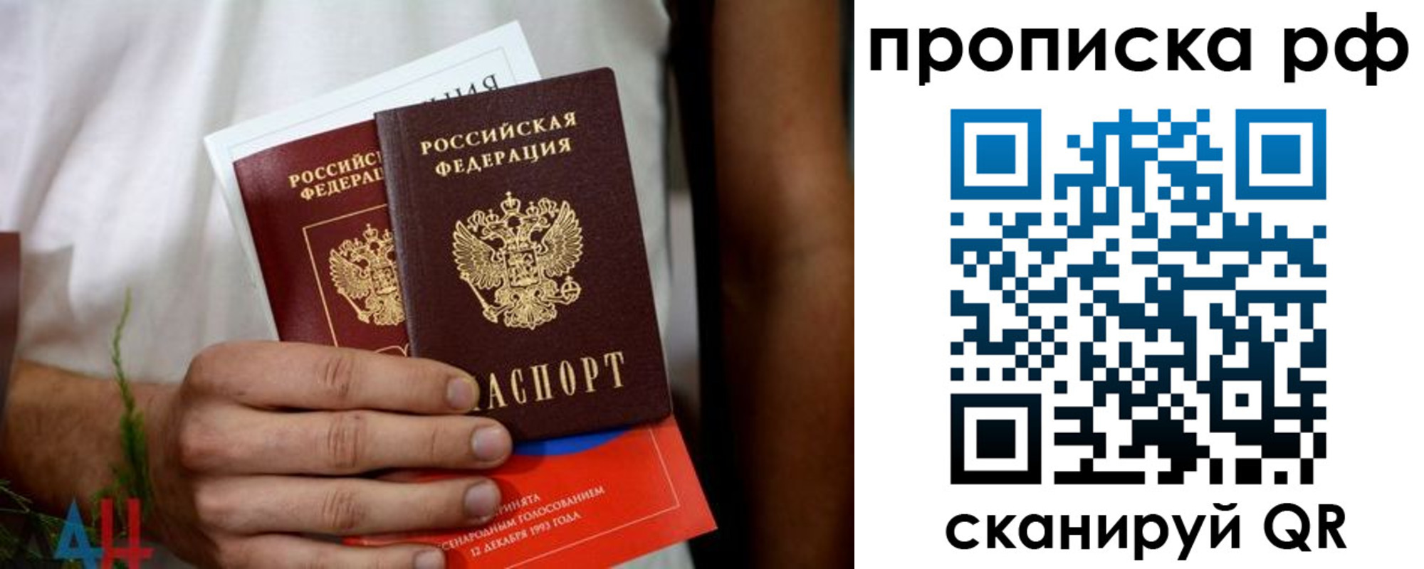 прописка паспорт в Судогде